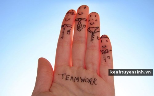 Tổng hợp các kỹ năng mềm hữu ích cho sinh viên mới ra trường