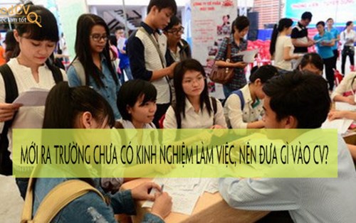 Mới ra trường chưa có kinh nghiệm làm việc, nên đưa gì vào CV?